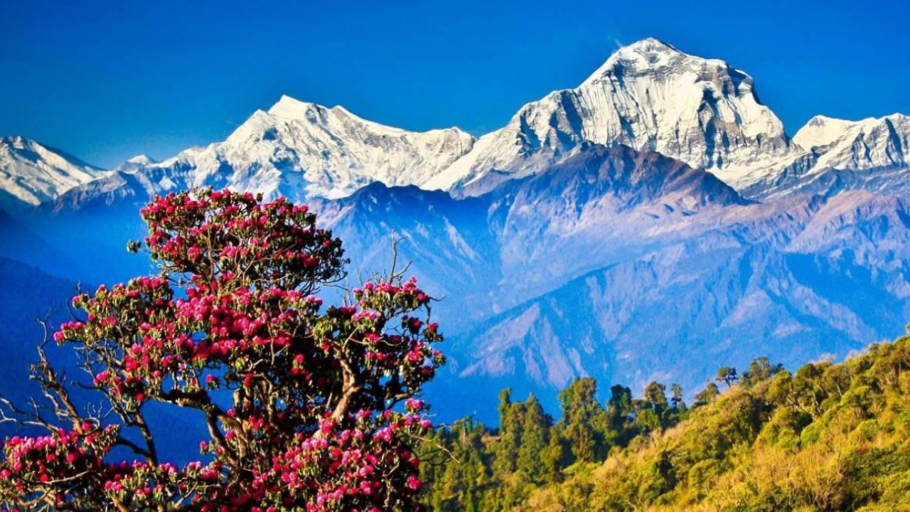Uttarakhand Tour Packages