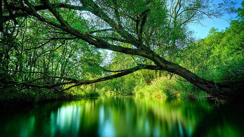 Kerala Tour Packages