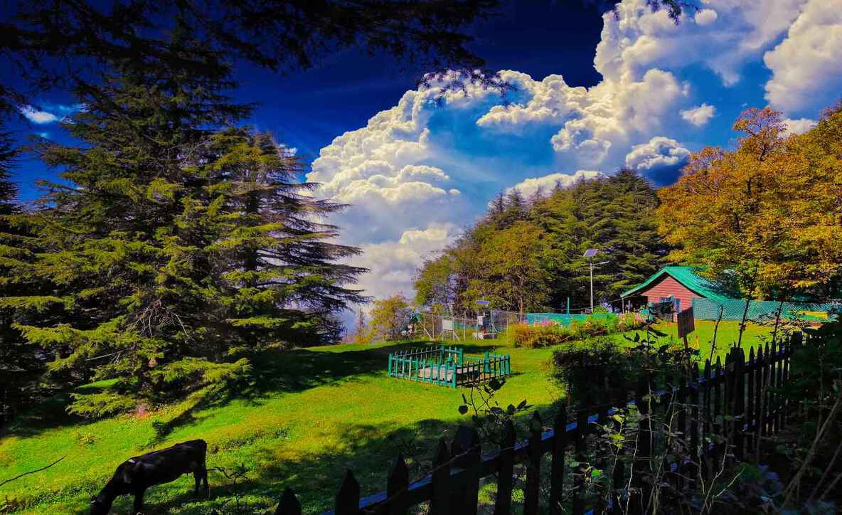 Dharamshala Dalhousie Volvo Tour Package