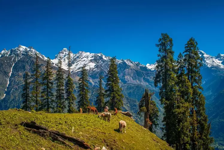 Himachal Tour Package